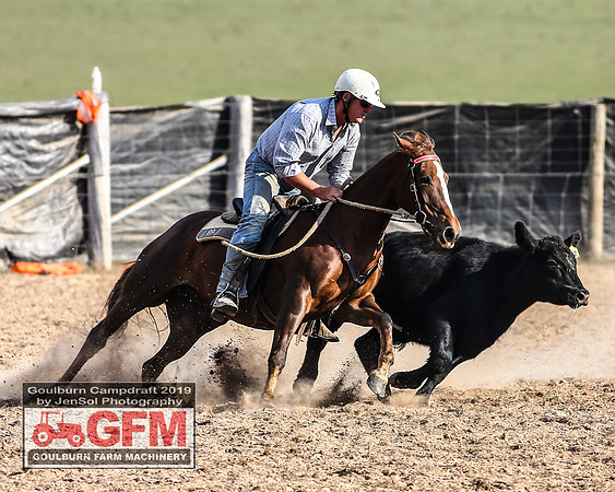 GoulburnCampdraft2019_7892