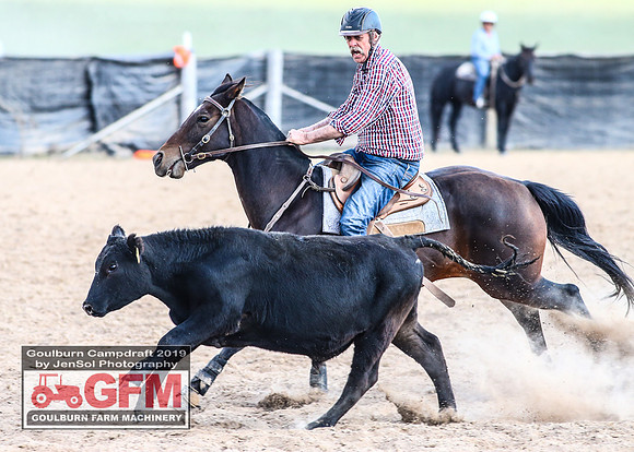 GoulburnCampdraft2019_7806