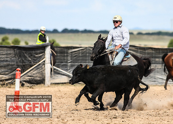 GoulburnCampdraft2019_6873