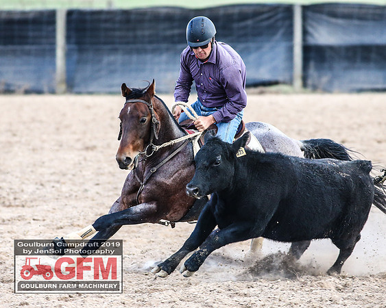 GoulburnCampdraft2019_8110
