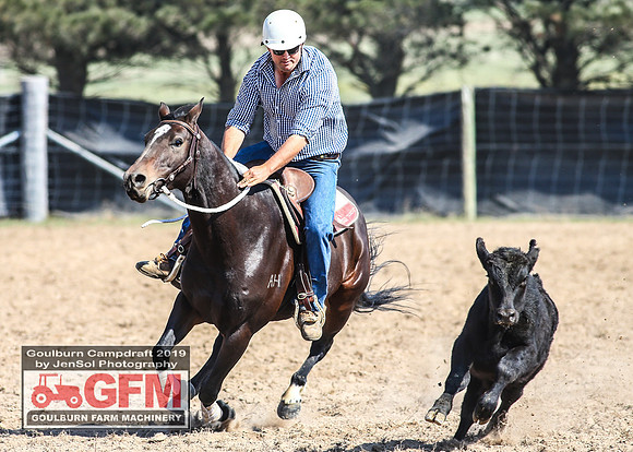 GoulburnCampdraft2019_6780