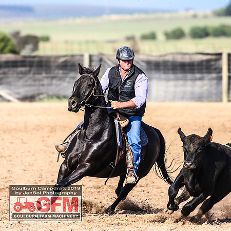 GoulburnCampdraft2019_6413