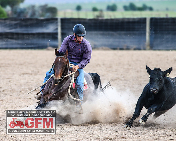 GoulburnCampdraft2019_8118