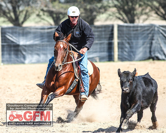 GoulburnCampdraft2019_6598