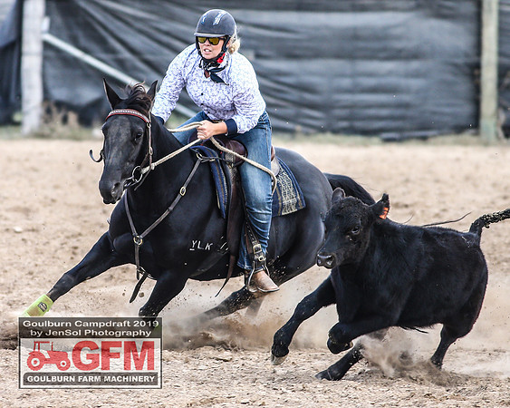 GoulburnCampdraft2019_7042
