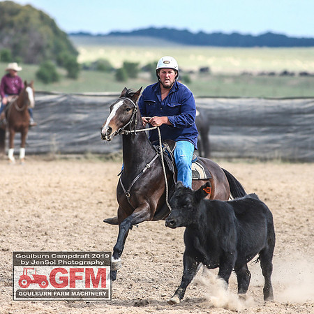 GoulburnCampdraft2019_7185