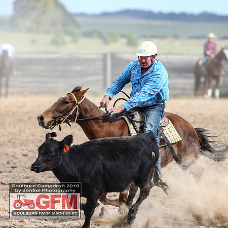 GoulburnCampdraft2019_7355