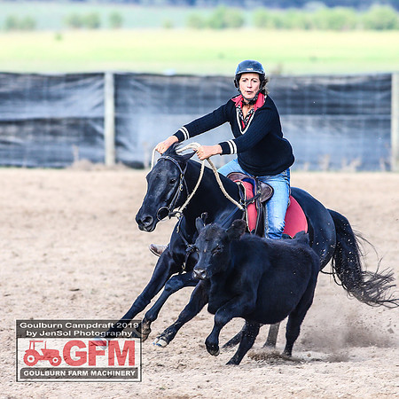 GoulburnCampdraft2019_6364