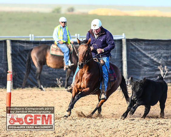 GoulburnCampdraft2019_6119