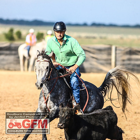 GoulburnCampdraft2019_6447