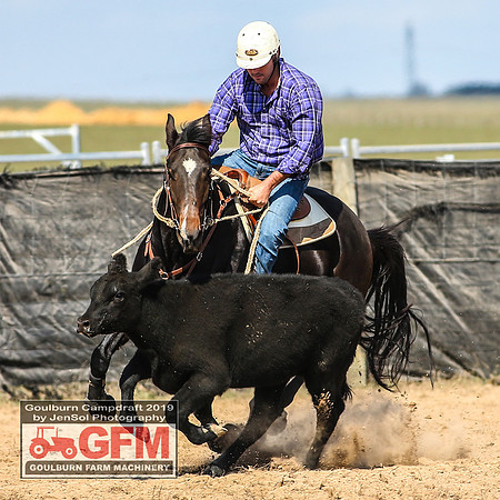 GoulburnCampdraft2019_6746