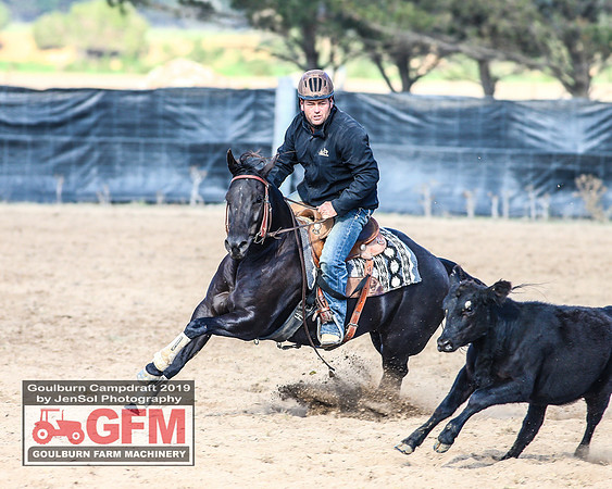 GoulburnCampdraft2019_6336