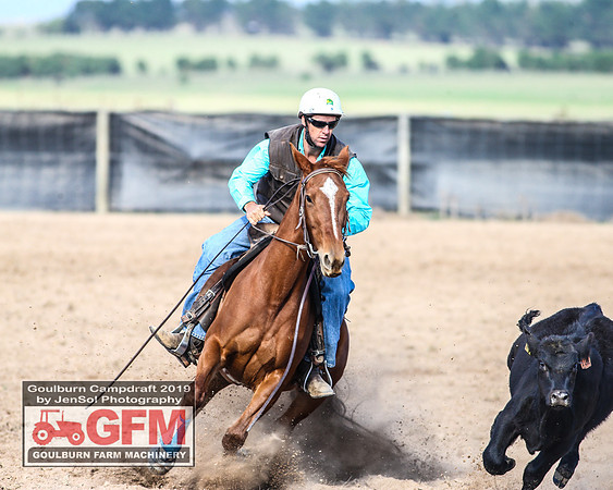 GoulburnCampdraft2019_6488