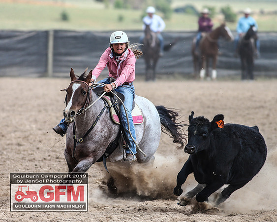 GoulburnCampdraft2019_7300