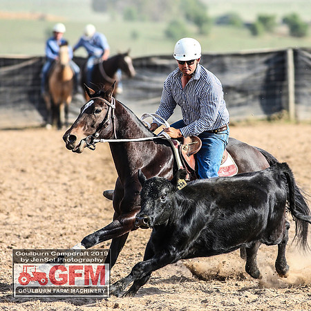GoulburnCampdraft2019_7847