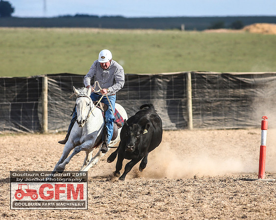 GoulburnCampdraft2019_7945