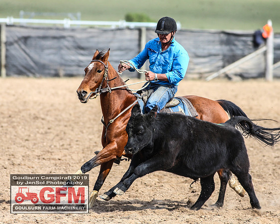GoulburnCampdraft2019_7191