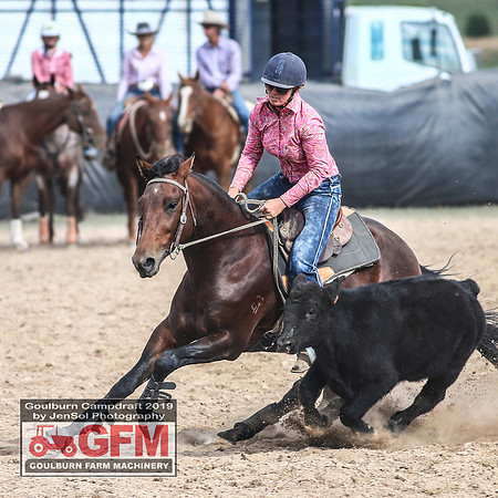 GoulburnCampdraft2019_7406