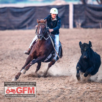 GoulburnCampdraft2019_6015