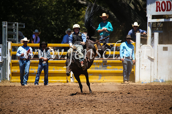 TaralgaRodeoSun2017_1796