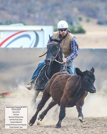 AdaminabyCampdraft2019_5559
