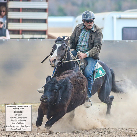AdaminabyCampdraft2019_5842