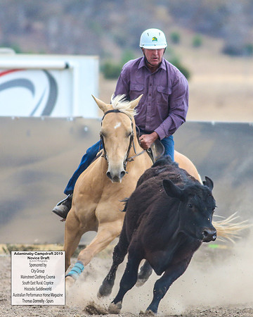 AdaminabyCampdraft2019_5625