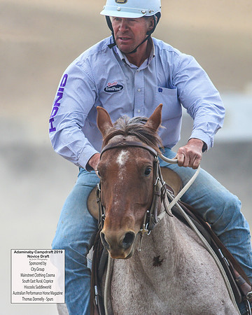 AdaminabyCampdraft2019_5738