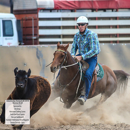 AdaminabyCampdraft2019_5756
