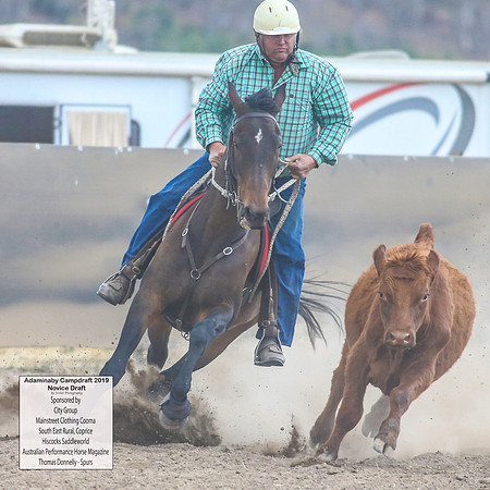 AdaminabyCampdraft2019_5960