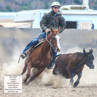 AdaminabyCampdraft2019_5171
