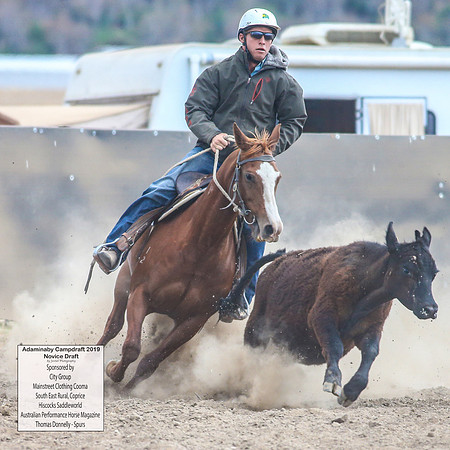 AdaminabyCampdraft2019_5171