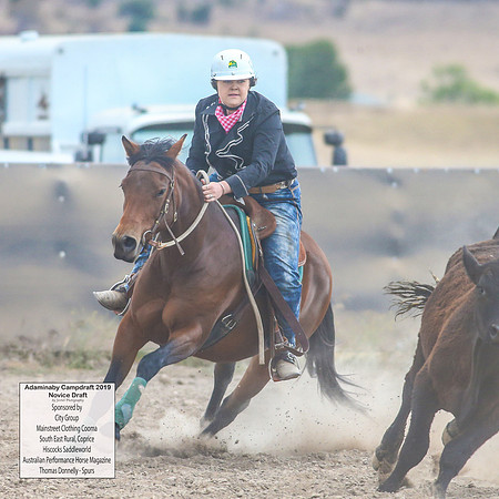 AdaminabyCampdraft2019_5790