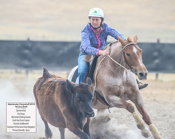 AdaminabyCampdraft2019_5947