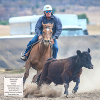AdaminabyCampdraft2019_5063