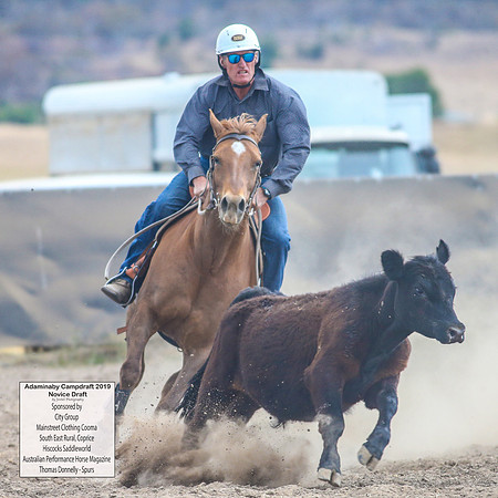 AdaminabyCampdraft2019_5063
