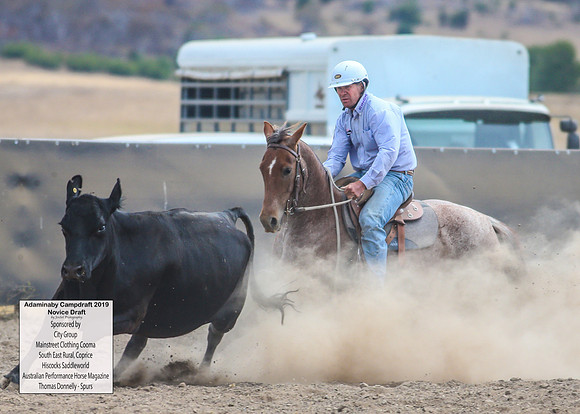 AdaminabyCampdraft2019_5287