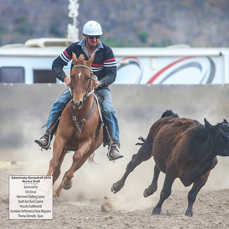 AdaminabyCampdraft2019_5678