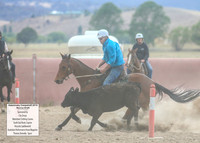 AdaminabyCampdraft2019_5167