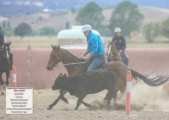 AdaminabyCampdraft2019_5167