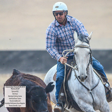 AdaminabyCampdraft2019_5665