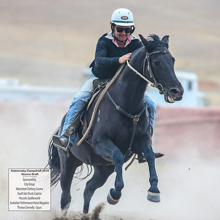 AdaminabyCampdraft2019_5498