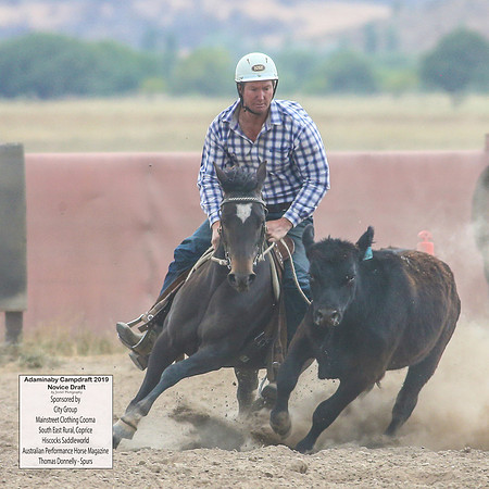 AdaminabyCampdraft2019_5386