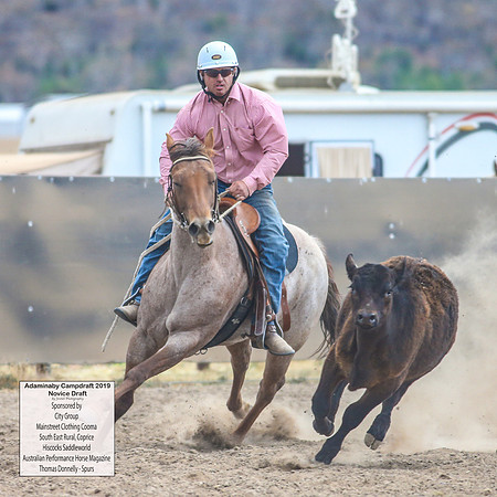 AdaminabyCampdraft2019_5473