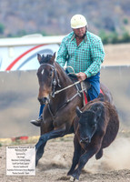 AdaminabyCampdraft2019_5087