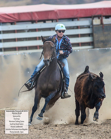 AdaminabyCampdraft2019_5545