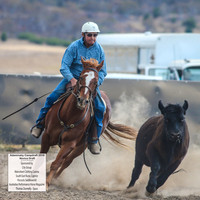 AdaminabyCampdraft2019_5043