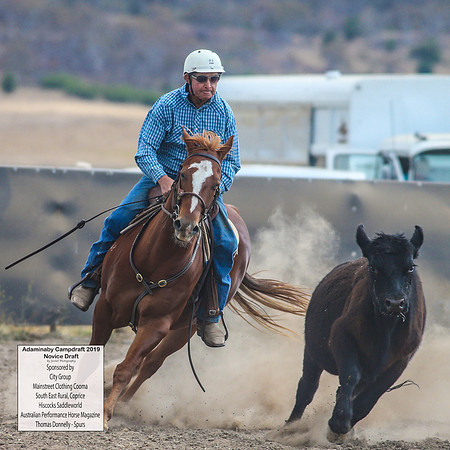 AdaminabyCampdraft2019_5043