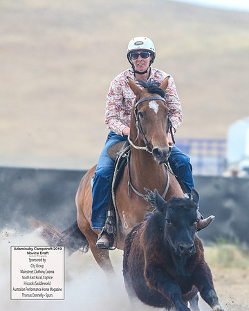 AdaminabyCampdraft2019_5607