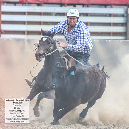 AdaminabyCampdraft2019_5371